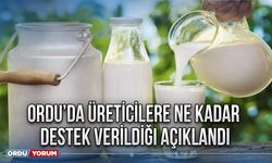 Ordu’da üreticilere ne kadar destek verildiği açıklandı