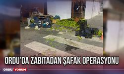 Ordu’da zabıtadan şafak operasyonu