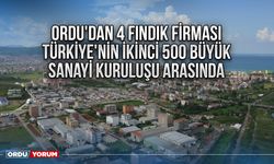 Ordu'dan 4 fındık firması Türkiye'nin ikinci 500 büyük sanayi kuruluşu arasında