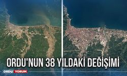 Ordu'nun 38 yıldaki değişimi