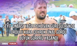 Seyit Onbaşı Yağlı Pehlivan Güreşleri'nde Ordulu Kara Çeyrek Final Gördü, Büyük Sürpriz Yaşandı