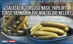 Salatalık turşusu nasıl yapılır? Turşu yapmanın püf noktaları neler?