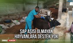 Şap aşısı olmayan hayvanlara destek yok