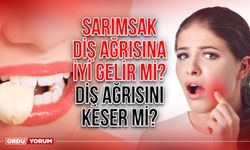 Sarımsak diş ağrısına iyi gelir mi? Sarımsak diş ağrısını keser mi?