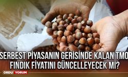 Serbest piyasanın gerisinde kalan TMO fındık fiyatını güncelleyecek mi?