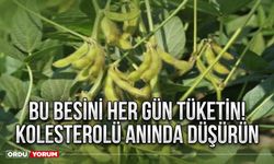 Bu besini her gün tüketin! Kolesterolü anında düşürün