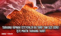 Tarhana yapmak isteyenler bu tarif tam size göre! İşte pratik tarhana tarifi