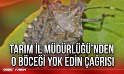 Tarım İl Müdürlüğü’nden o böceği yok edin çağrısı