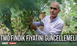 TMO fındık fiyatını güncellemeli