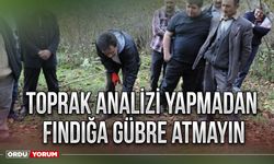 Toprak analizi yapmadan fındığa gübre atmayın