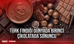 Türk fındığı dünyada birinci çikolatada sonuncu
