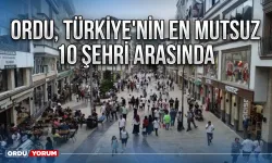 Türkiye'nin en mutsuz 10 şehri hangileri?