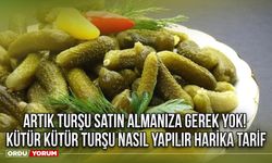 Artık turşu satın almanıza gerek yok! Kütür kütür turşu nasıl yapılır harika tarif