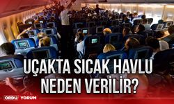 Uçakta sıcak havlu neden verilir?