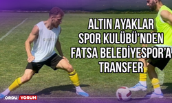 Altın Ayaklar Spor Kulübü'nden Fatsa Belediyespor'a Transfer