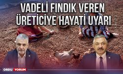 Vadeli fındık veren üreticiye hayati uyarı