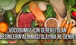 Vücudumuz için gerekli olan besinlerin alınması olayına ne denir?