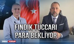 Fındık tüccarı para bekliyor!