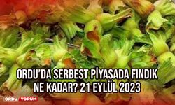 Ordu'da serbest piyasada fındık ne kadar? 21 Eylül 2023