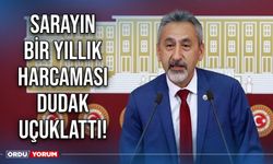 Sarayın bir yıllık harcaması dudak uçuklattı!