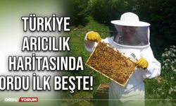 Türkiye Arıcılık Haritasında Ordu'nun yeri sağlam!