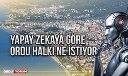 Yapay zekaya göre Ordu halkı ne istiyor