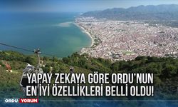 Yapay Zekaya Göre Ordu’nun En İyi Özellikleri Belli Oldu!