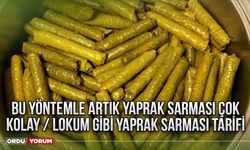 Bu yöntemle artık yaprak sarması çok kolay / Lokum gibi yaprak sarması tarifi