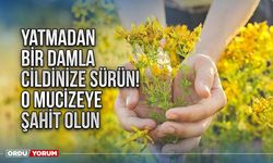 Yatmadan bir damla cildinize sürün! O mucizeye şahit olun