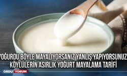 Yoğurdu böyle mayalıyorsanız yanlış yapıyorsunuz! Köylülerin asırlık yoğurt mayalama tarifi