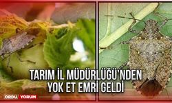 Tarım İl Müdürlüğü’nden yok et emri geldi