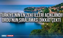 Türkiye'nin en zeki illeri açıklandı! Ordu'nun sıralaması dikkat çekti