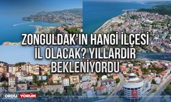 Zonguldak'ın hangi ilçesi il olacak? Yıllardır bekleniyordu