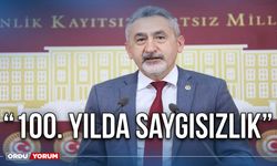 “100. yılda saygısızlık”