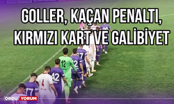 Goller, Penaltılar, Kırmızı Kart ve Galibiyet 4-0