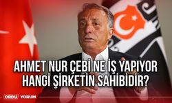 Ahmet Nur Çebi ne iş yapıyor hangi şirketin sahibidir?