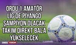 Ordu 1.Amatör Lig'de Piyango, Şampiyon Olacak Takım Direkt BAL'a Yükselecek