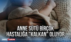 Anne sütü birçok hastalığa "kalkan" oluyor