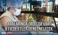 Aralarında Ordu'da var! 81 ilde etler denetlenecek