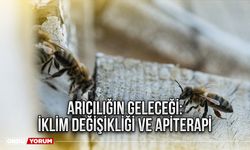 Arıcılığın Geleceği: İklim Değişikliği ve Apiterapi