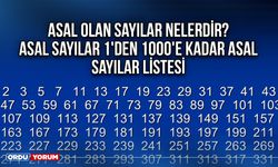 Asal olan sayılar nelerdir? Asal Sayılar 1'den 1000'e kadar asal sayılar listesi