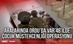 Aralarında Ordu’da var 48 ilde çocuk müstehcenliği operasyonu