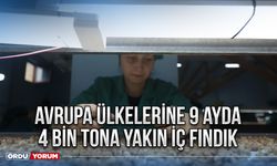 Avrupa ülkelerine 9 ayda 4 bin tona yakın iç fındık