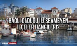 Bağlı olduğu ili sevmeyen ilçeler hangileri?