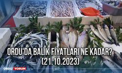 Ordu'da balık fiyatları ne kadar? (21.10.2023)