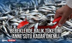 Bebeklerde balık tüketimi anne sütü kadar önemli