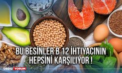 Bu besinler B 12 ihtiyacının hepsini karşılıyor !