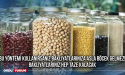 Bu yöntemi kullanırsanız bakliyatlarınıza asla böcek gelmez! Bakliyatlarınız hep taze kalacak