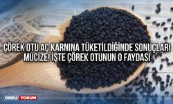 Çörek otu aç karnına tüketildiğinde sonuçları mucize! İşte çörek otunun o faydası