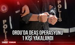 Ordu’da DEAŞ operasyonu 1 kişi yakalandı